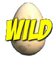 birdz slot wild symbol