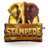 stampede slot